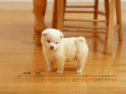 401607 (a): :1024x768